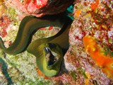 Pousada em Fernando de Noronha